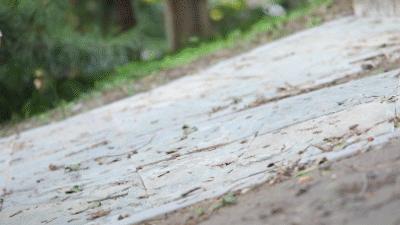 跑步不伤脚踝的运动鞋,后跟支撑强的跑步鞋