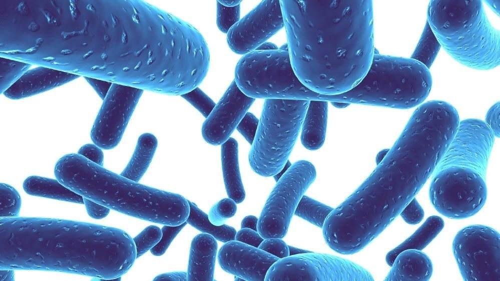 贝贝益生菌怎么样,贝贝益生菌