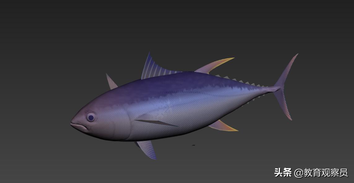 绵阳灵通学校教学质量,绵阳灵通学校和绵阳职业技术学校