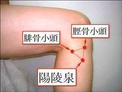 腿抽筋按什么穴位能治,快速制止腿抽筋的穴位