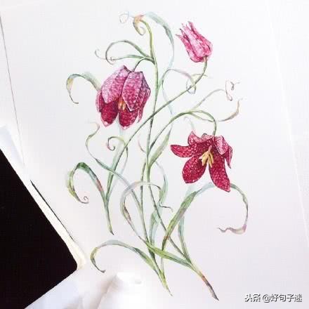 最适合qq签名的句子,适合做qq个性签名的句子8个字