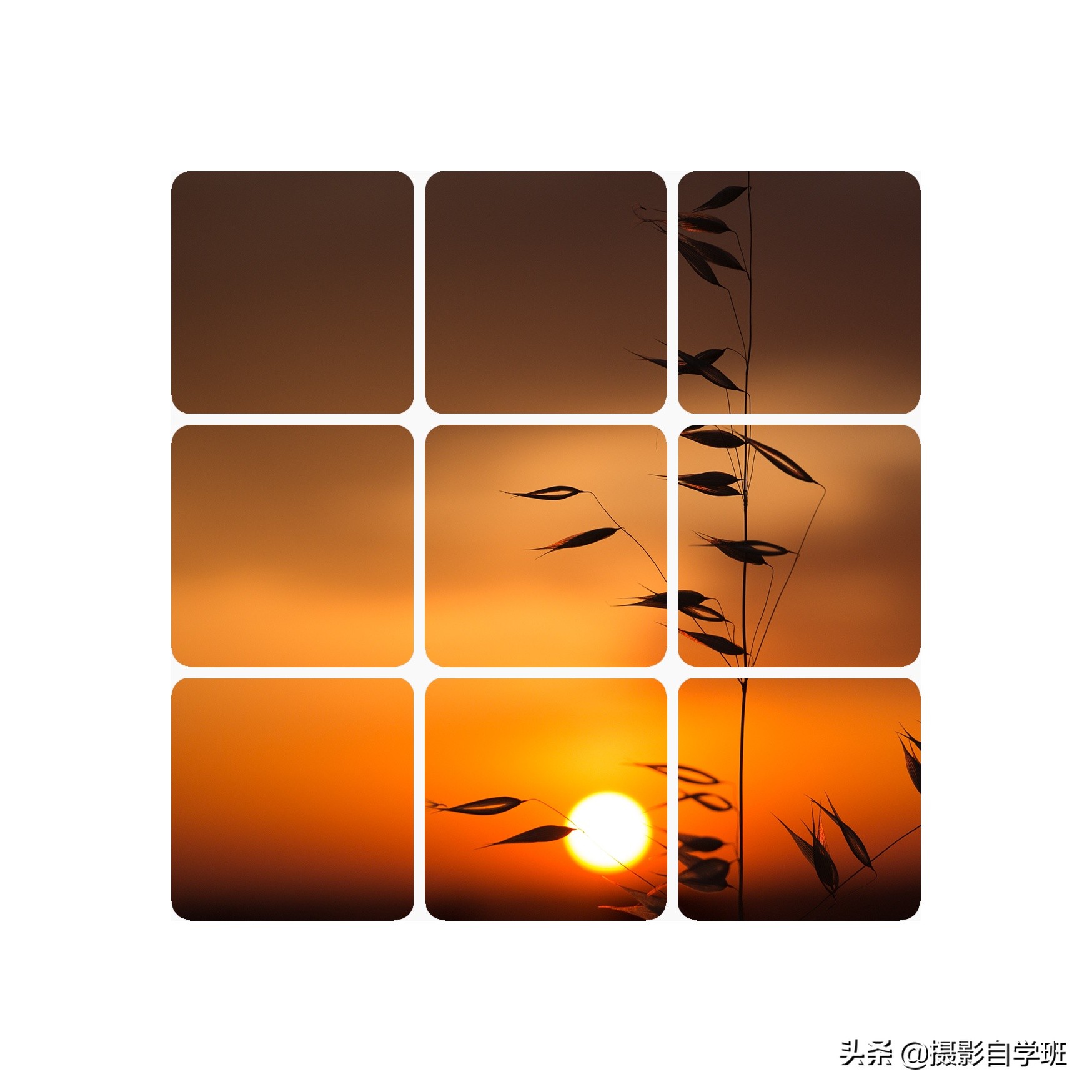 手机拍的照片怎么做成视频,怎样把手机拍照变成九宫格