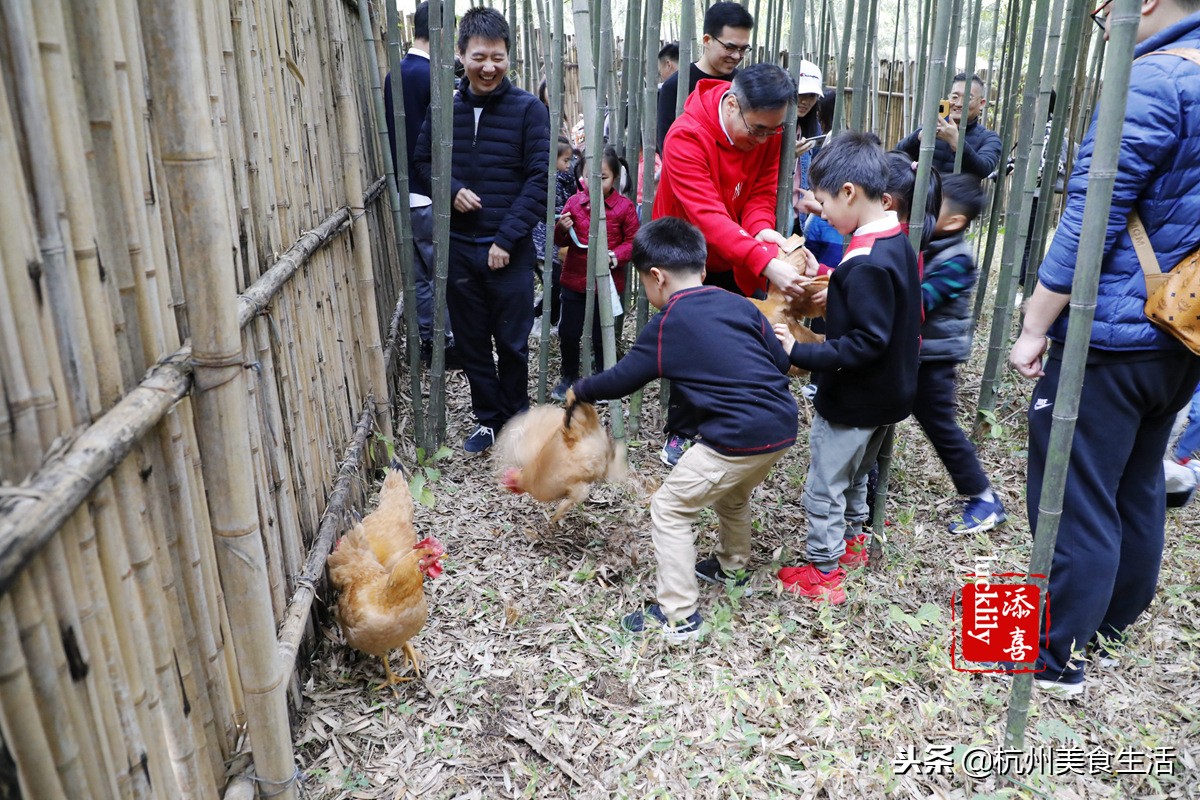 「杭州美食生活」径山淡竹元民宿，享受禅茶竹韵慢生活
