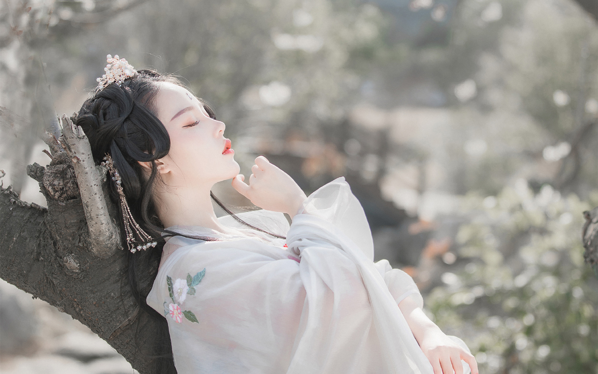 美人泪相思劫,美人画卷