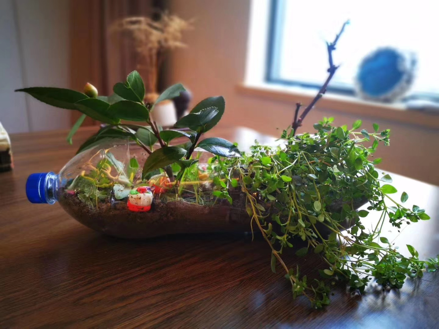 湖北隔离时期的生活：妈妈和哥哥憋得吵架，10岁侄女成烘培小能手