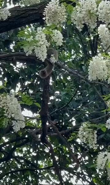 住在上海闹市400平的房子里，花开不败，开窗见池塘，太羡慕了