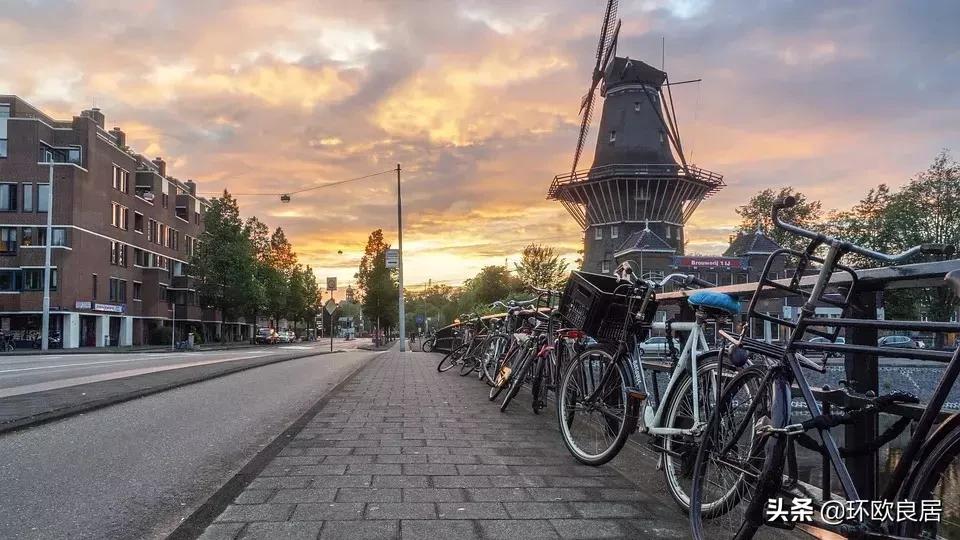 留学荷兰都有哪些学校,留学荷兰专业