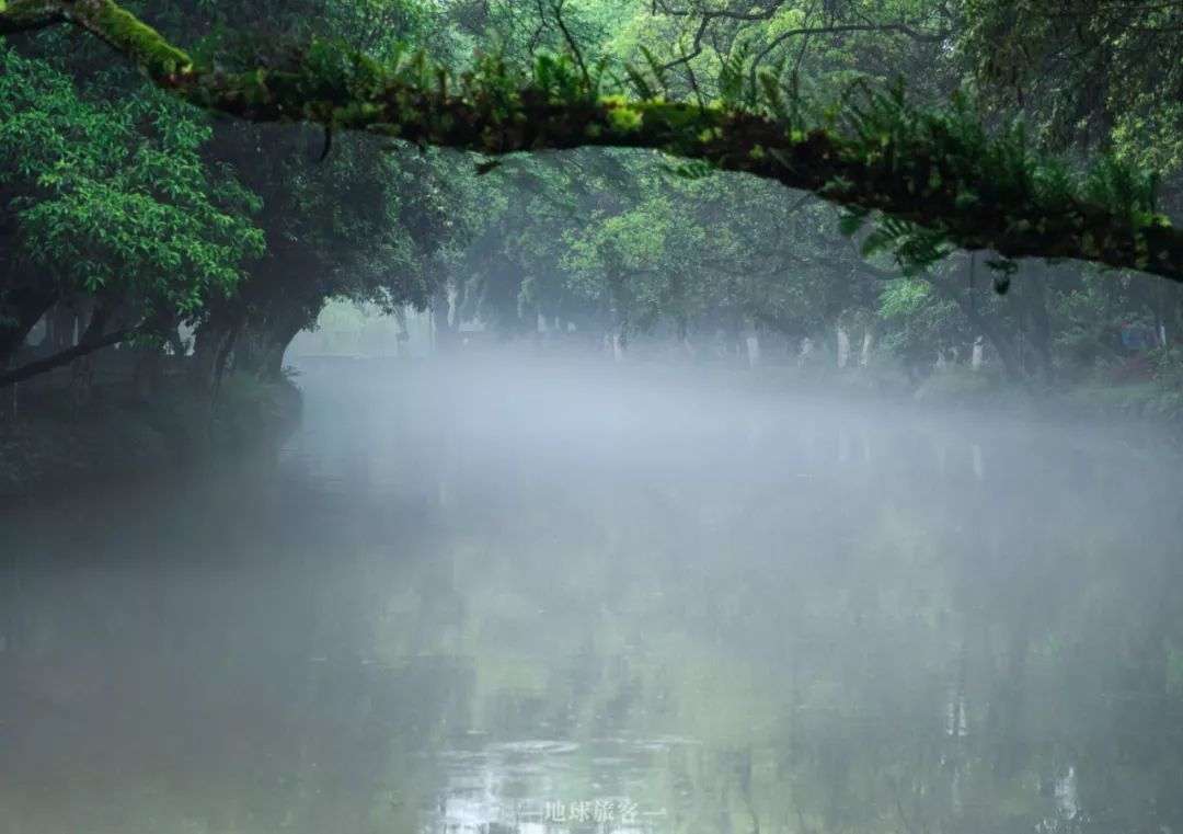 为什么全国只有桂林闻名世界,桂林为何如此受欢迎