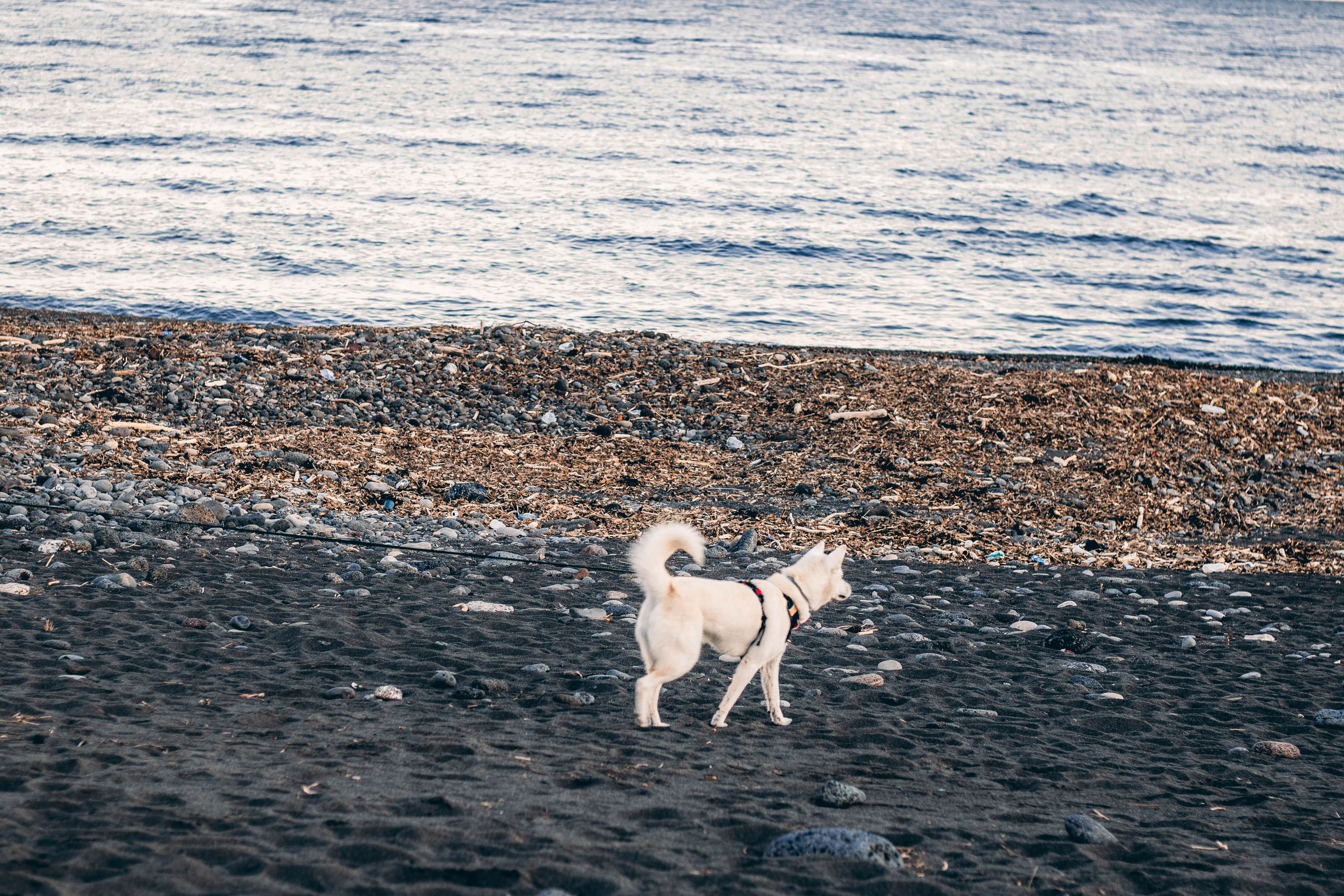 济州岛九月份哪个海水浴场好玩,济州岛打卡海水浴场