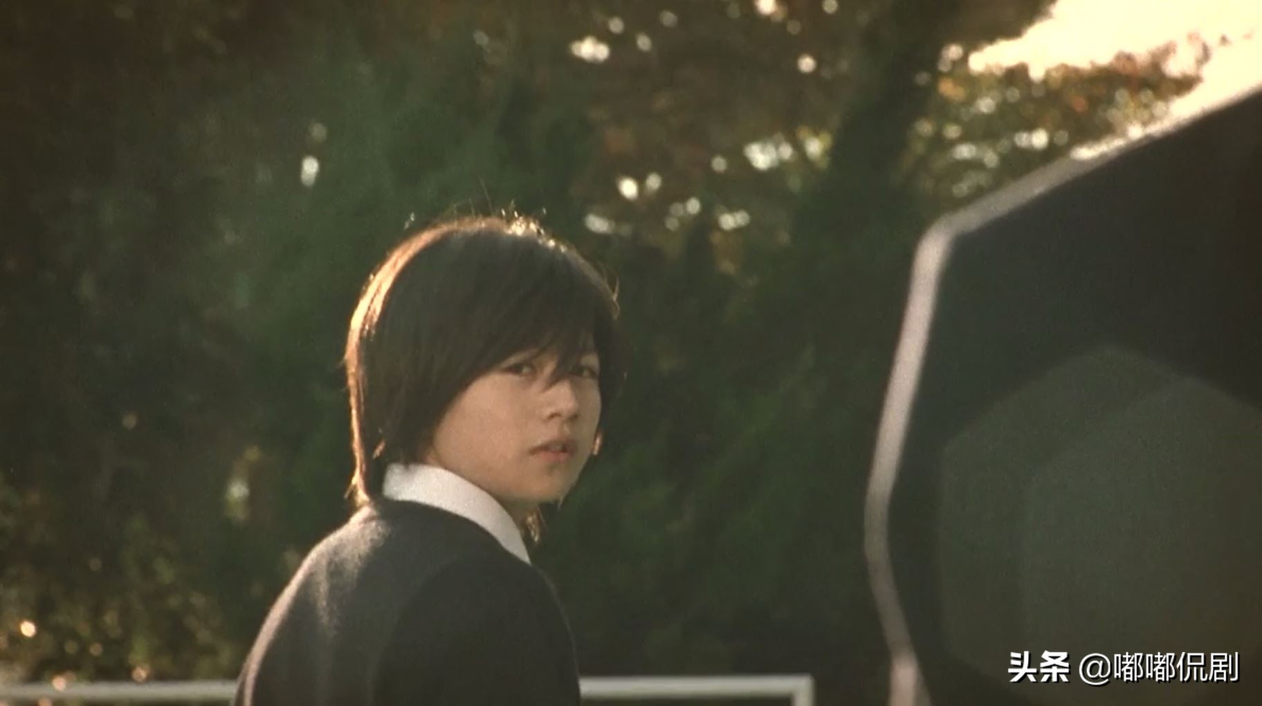 告白与复仇解析,告白与复仇