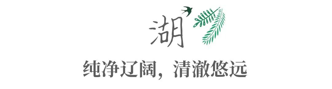 带你Get《司藤》同款神仙美景,春天的香格里拉这样玩