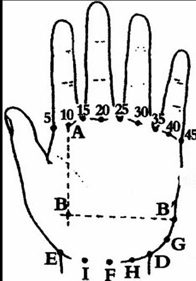 生命线寿命算法,生命线末端分叉呈鱼形状算命图解