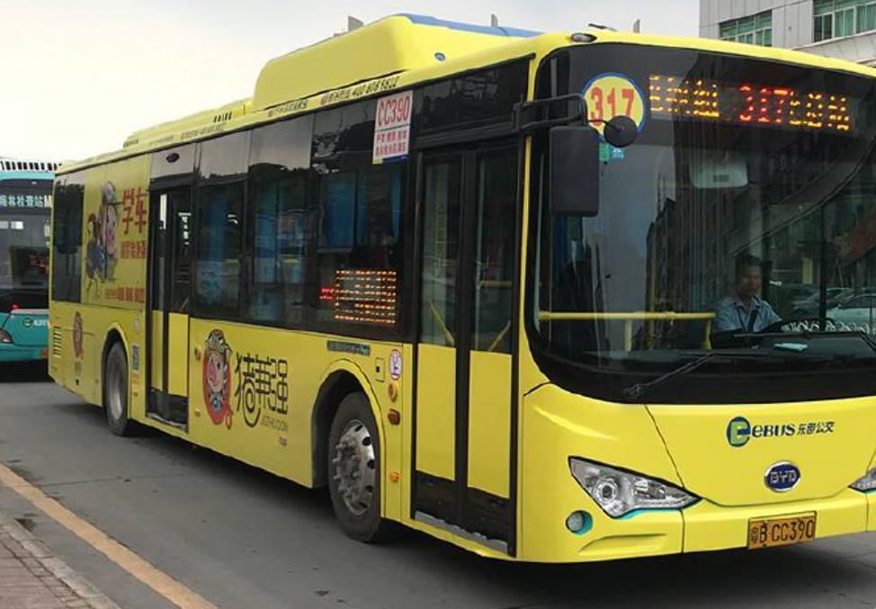 猪兼强驾校现状,猪兼强驾校破产以后需要赔钱么