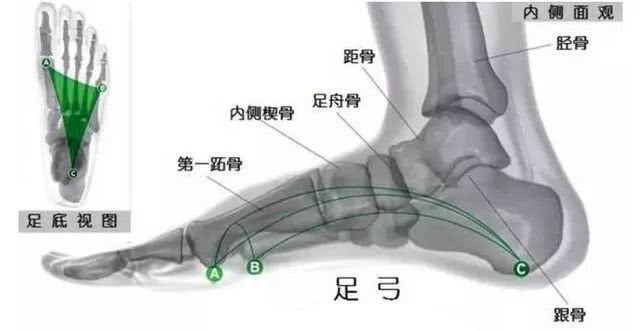 合脚的鞋只有脚知道,合脚的鞋子好吗