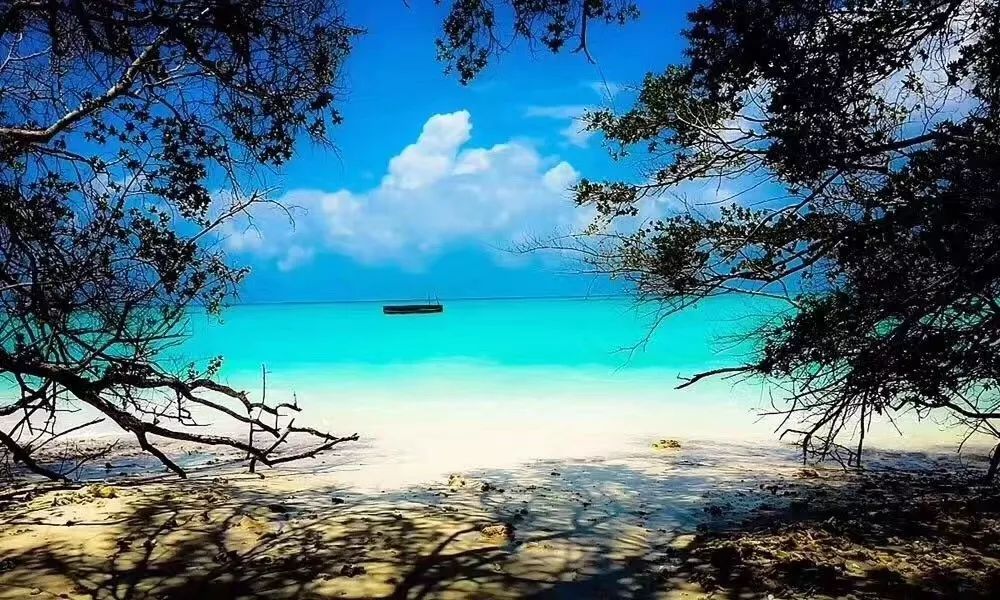 从A到Z，帕劳这个海岛国家远比你想象中更精彩