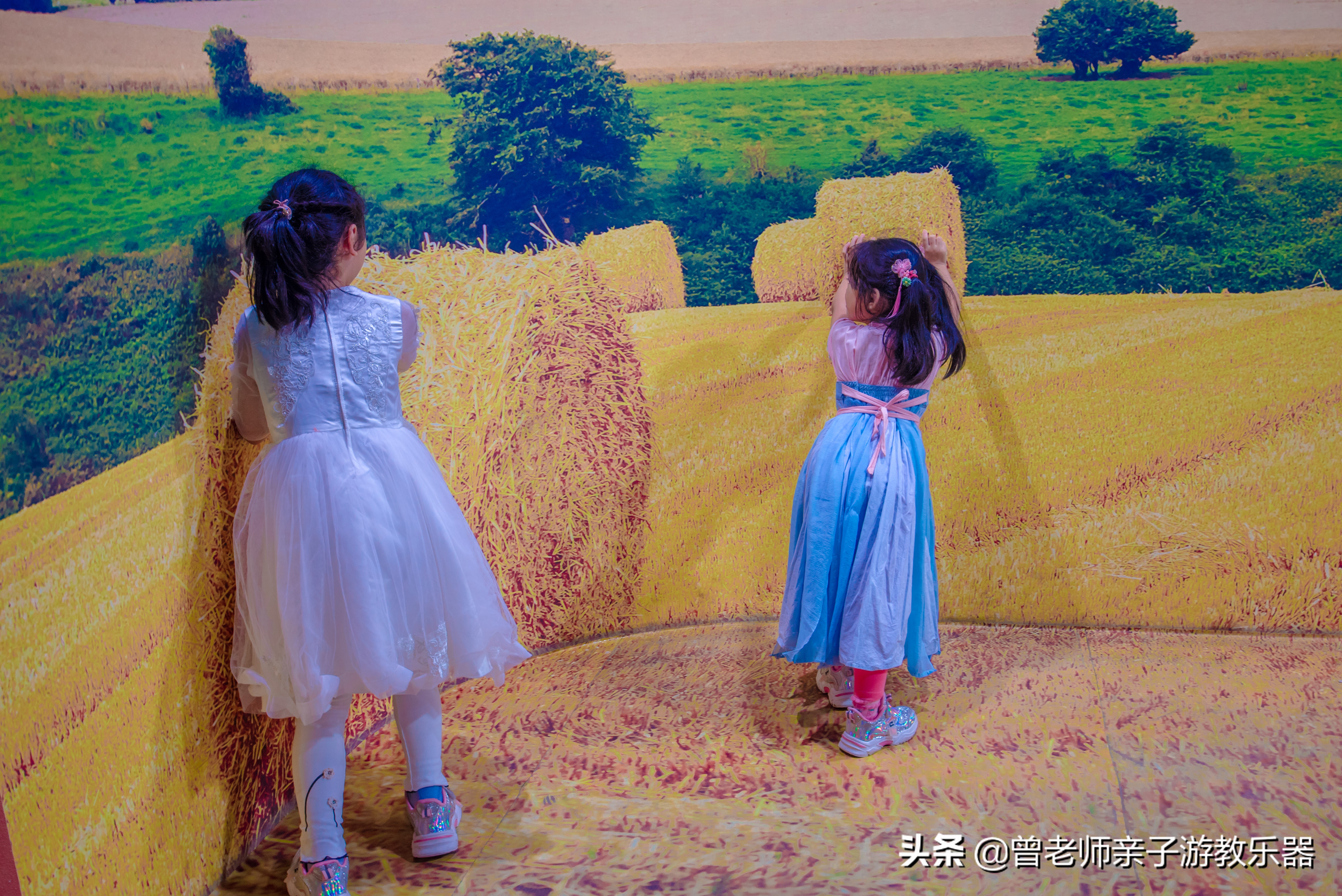 西安菊花节9.9元门票,爱菊菊花节怎么去