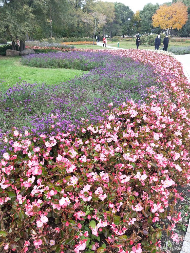 哈尔滨素描俱乐部,哈尔滨素描画室