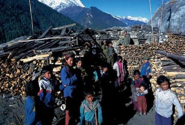 有多少达曼人入中国国籍,为什么让达曼人入中国籍