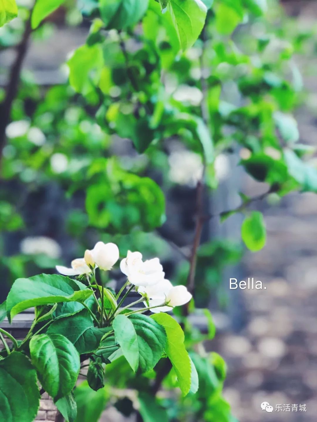 贝拉专访合集,贝拉专访完整版