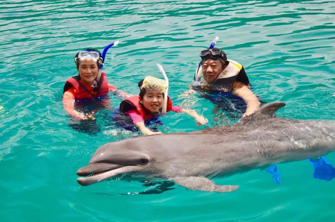 从A到Z，帕劳这个海岛国家远比你想象中更精彩