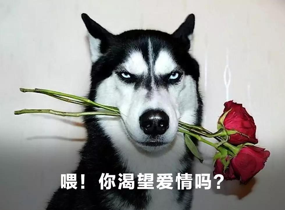 核辐射有多远距离才安全,核辐射有多危险