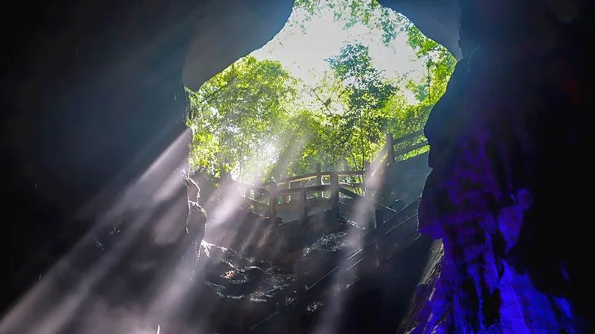 又是人间四月天踏青赏花正当时,正是人间芳菲时