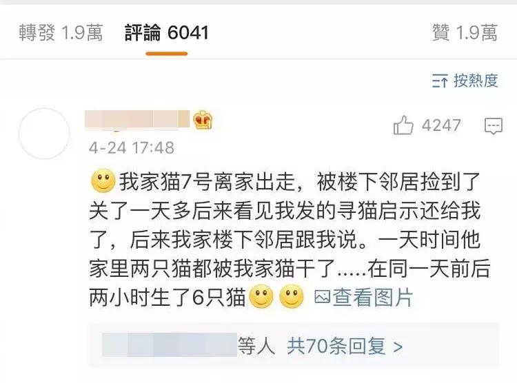 自从有了橘猫,我终于体会到什么叫“十橘九渣”!