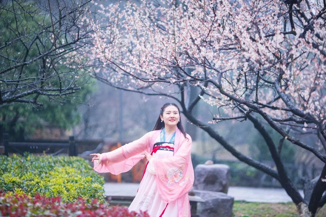 江南三大梅园,杭州江南三大梅花