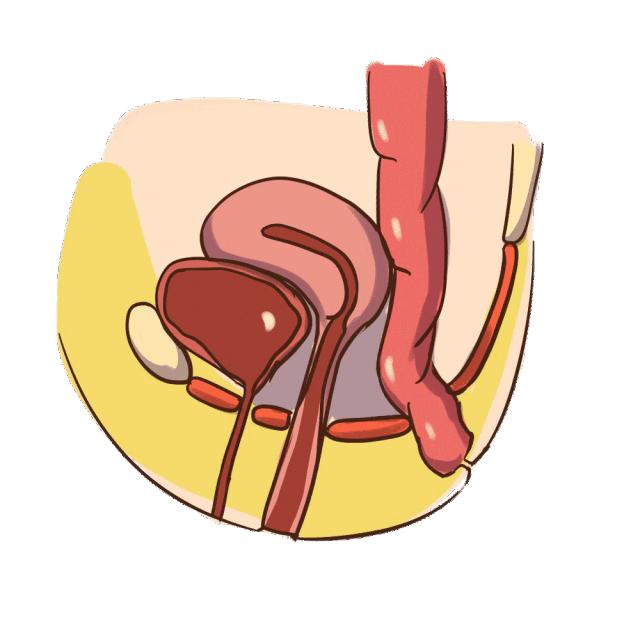 笑得太厉害笑出尿了正常吗,笑得太厉害了笑尿了正常吗