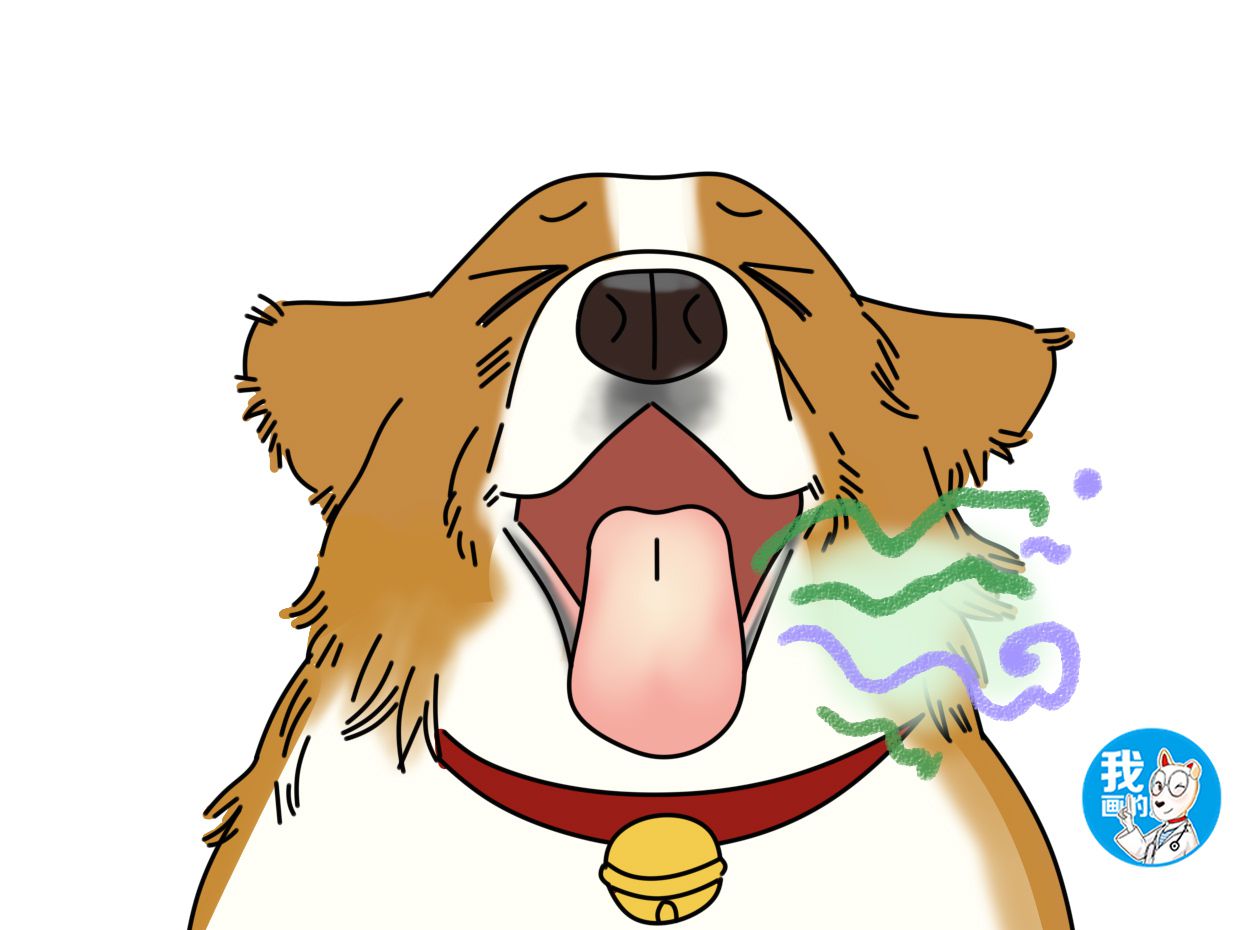 狗狗急性胃炎呕吐用什么药,狗狗胃里有异物呕吐怎么办