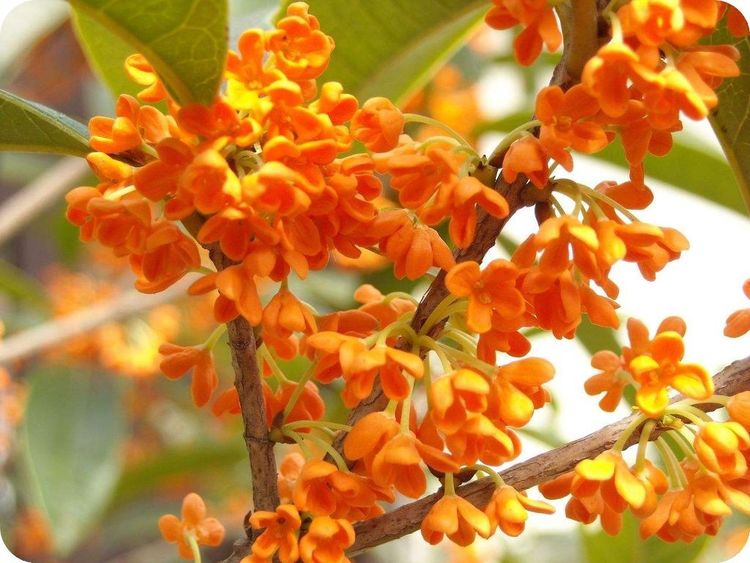 世间事世人度,世间事人间理