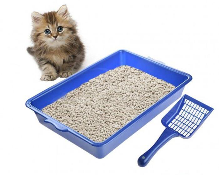 绝育能解决猫咪乱尿的问题吗,绝育了的猫还到处乱咬