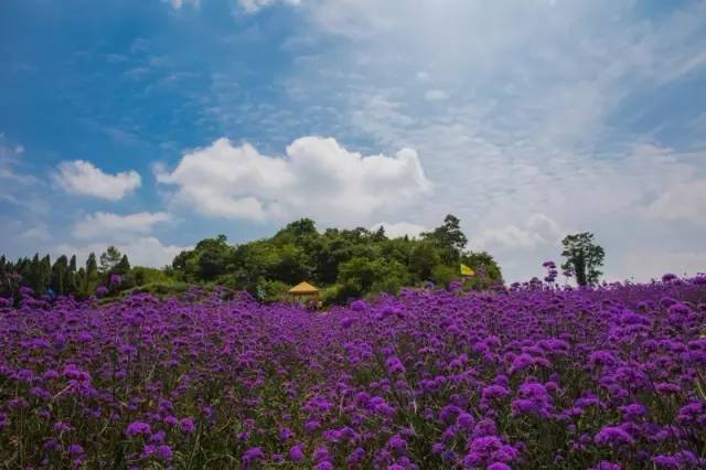 长沙身份证430102,长沙42开头的身份证