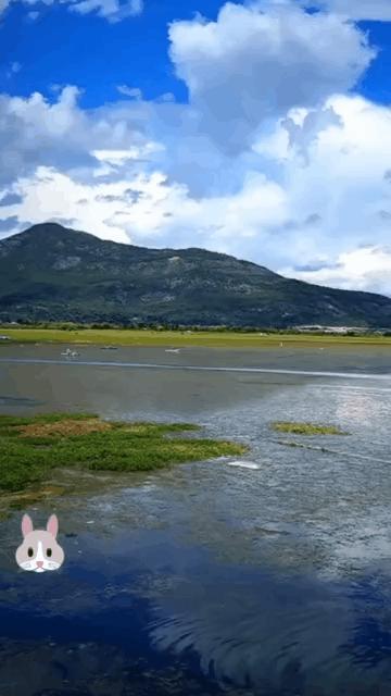 课代表的作业满分,课代表被罚