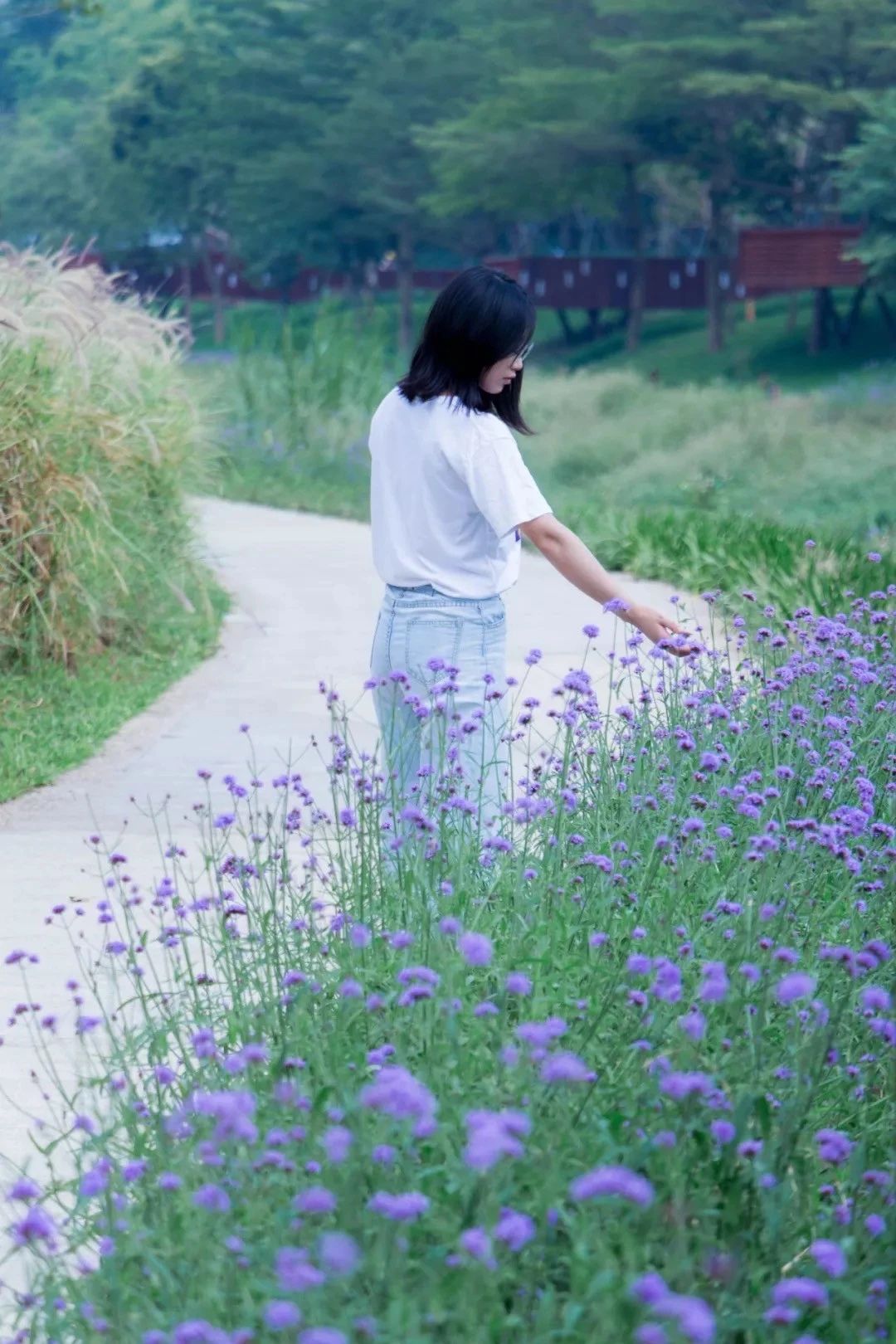 深圳旅游好去处推荐,深圳宝安区周末休闲浪漫好去处