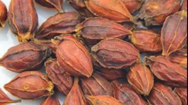 四十八款香料的解析与认知,四十八种香料解析