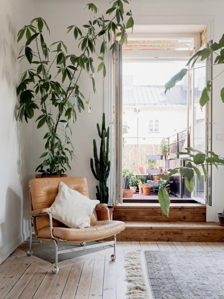 韩雪明星推荐好物,韩雪好物