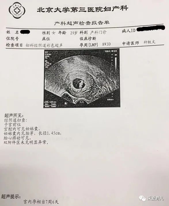 初次B超｜未见胎心胎芽，怎么办？