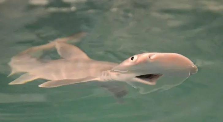 孩子是谁的不知道,孩子是谁的都没查出来