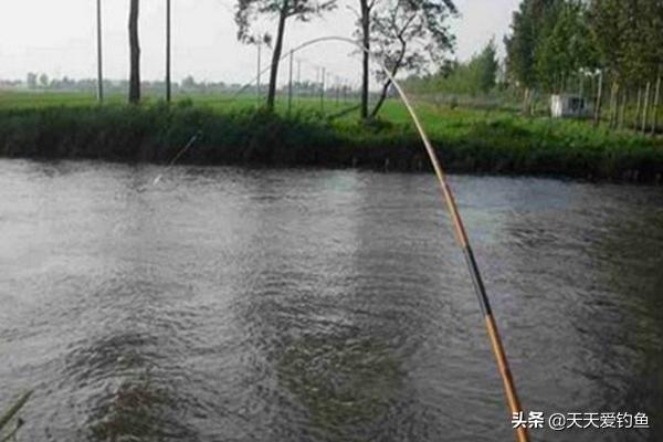 野钓走漂最佳解决方法,野钓走水怎么办三招教你应对