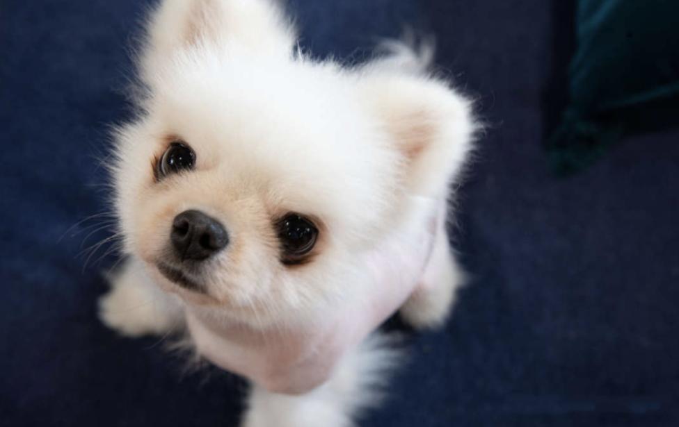 采光不好的房间用什么推拉门,采光不好的房子用哪种门