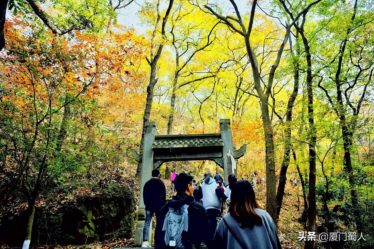 南京四大赏枫地 (南京赏枫胜地)