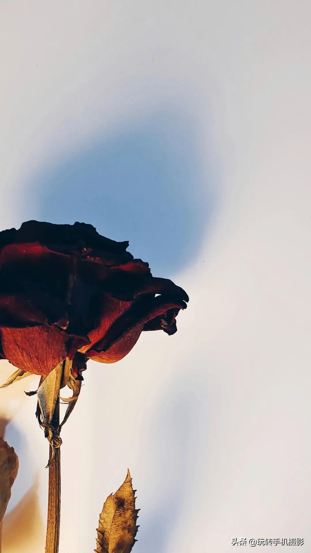 怎么拍花做壁纸,壁纸对花方法