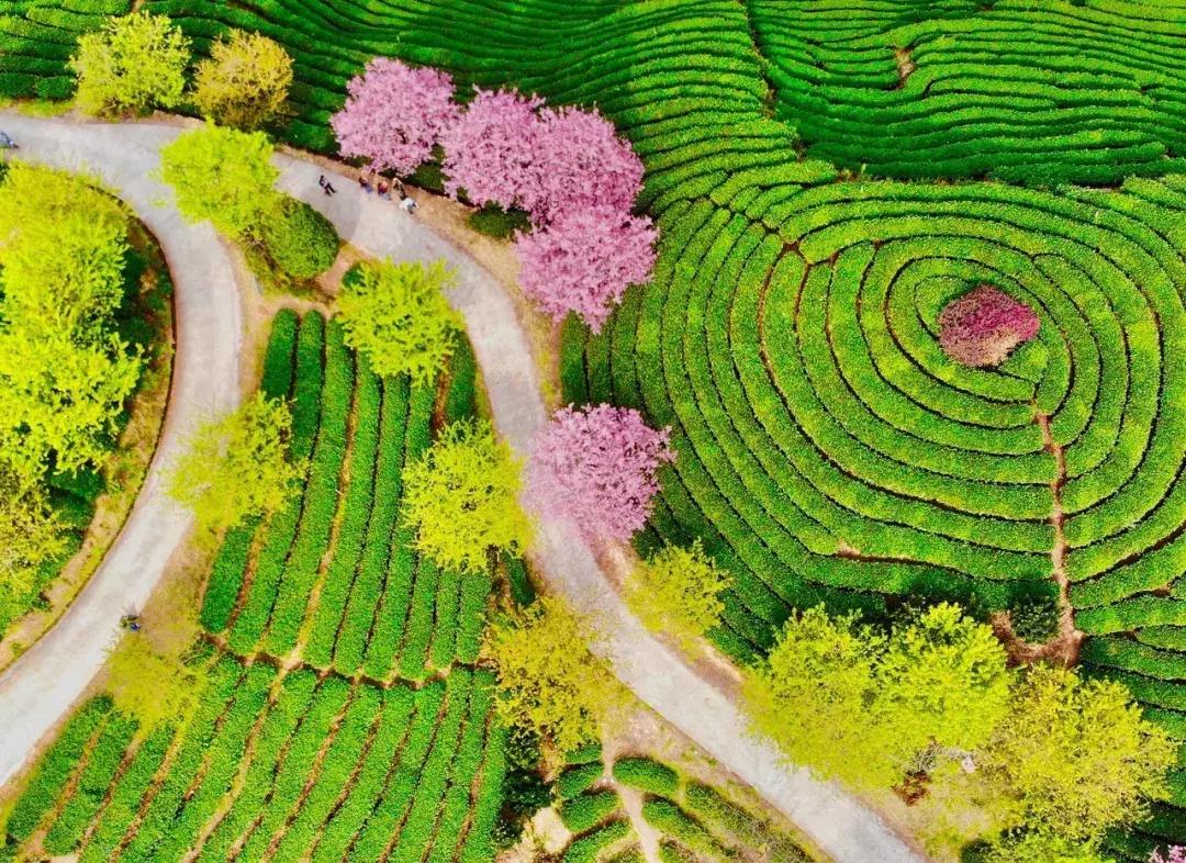 这才是一二月最值得去的13个旅行地，千万别去错了