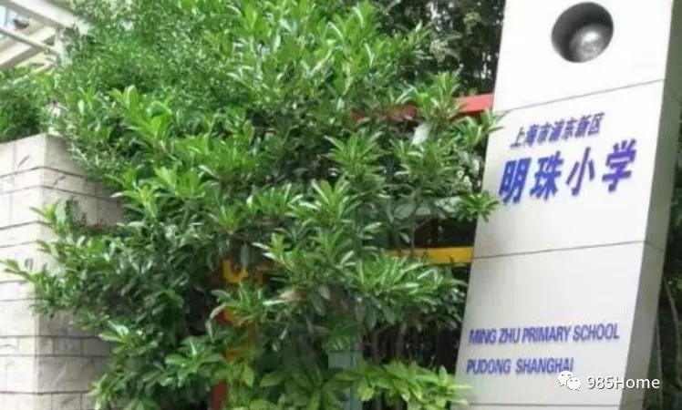 上海6号线周围有什么好玩的,上海18号线有什么学校