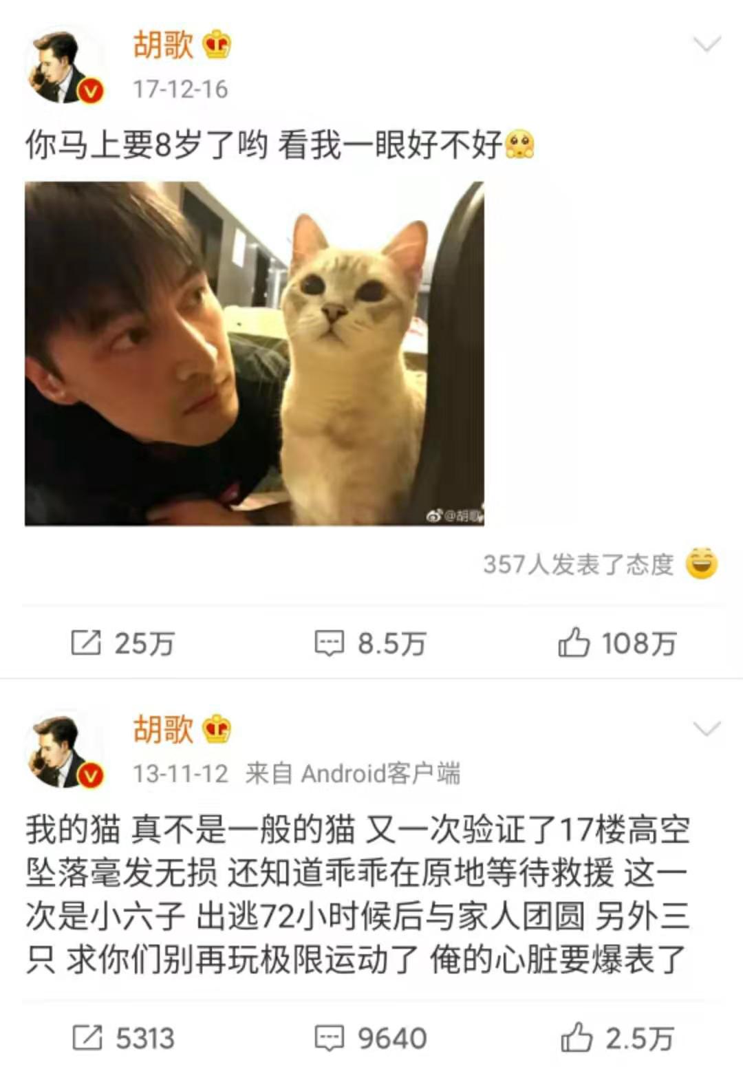 演员之外的“胡椒粉”胡歌，被花式催婚的最佳前任，撸猫不能自拔