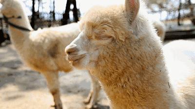 辽宁有美丽的小镇,辽宁有个小城市