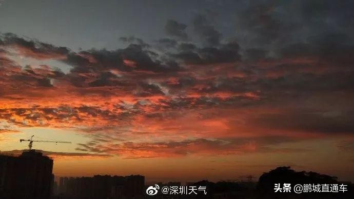 昨天深圳晚霞喜提热搜！美爆了，一大波晚霞图片来袭