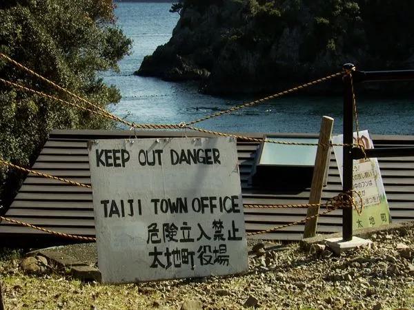 海豚湾被吐槽视频,海豚湾充满争议