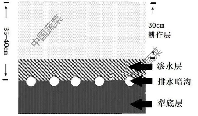 霜冻冰雹雪灾应对措施,冰雹天气请注意防范